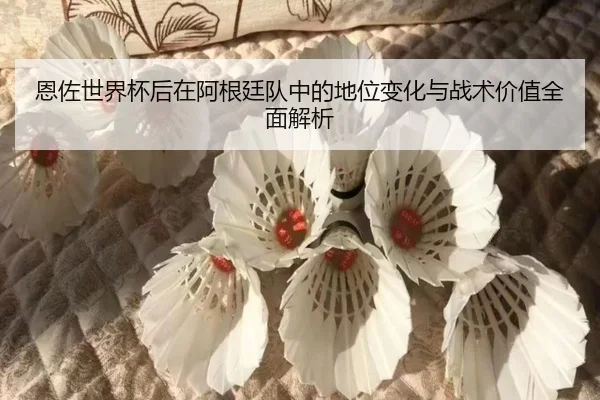 恩佐世界杯后在阿根廷队中的地位变化与战术价值全面解析