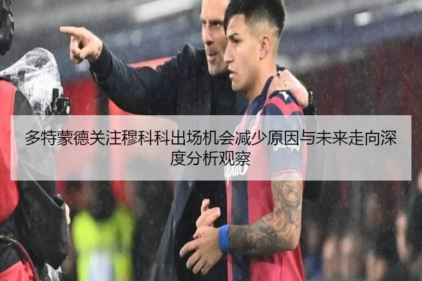 多特蒙德关注穆科科出场机会减少原因与未来走向深度分析观察