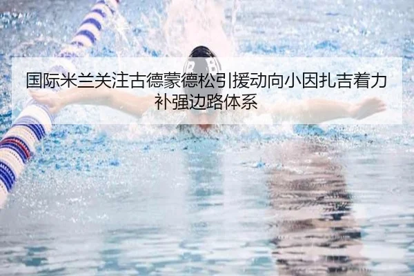 国际米兰关注古德蒙德松引援动向小因扎吉着力补强边路体系