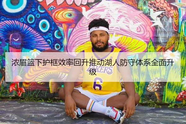 浓眉篮下护框效率回升推动湖人防守体系全面升级